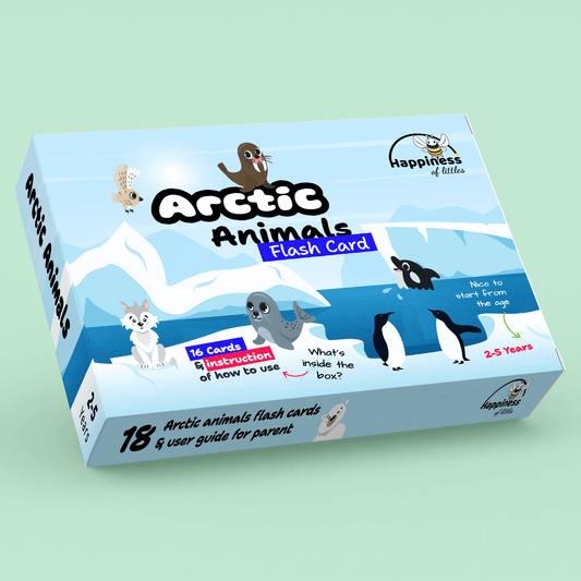 Arctic Animals Flash Card | 24 Flash Card | Both Side Flash Card | Learn Arctic Animals | Age 2 - 5 Years