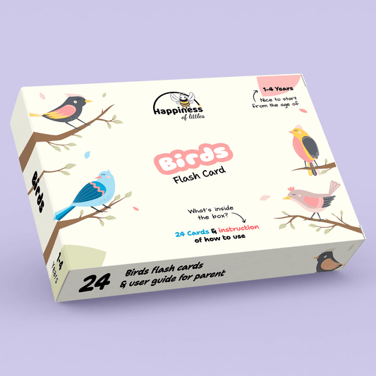 Birds Flash Card | 24 Flash Card | Both Side Flash Card | Learn Birds | Age 1 - 4 Years